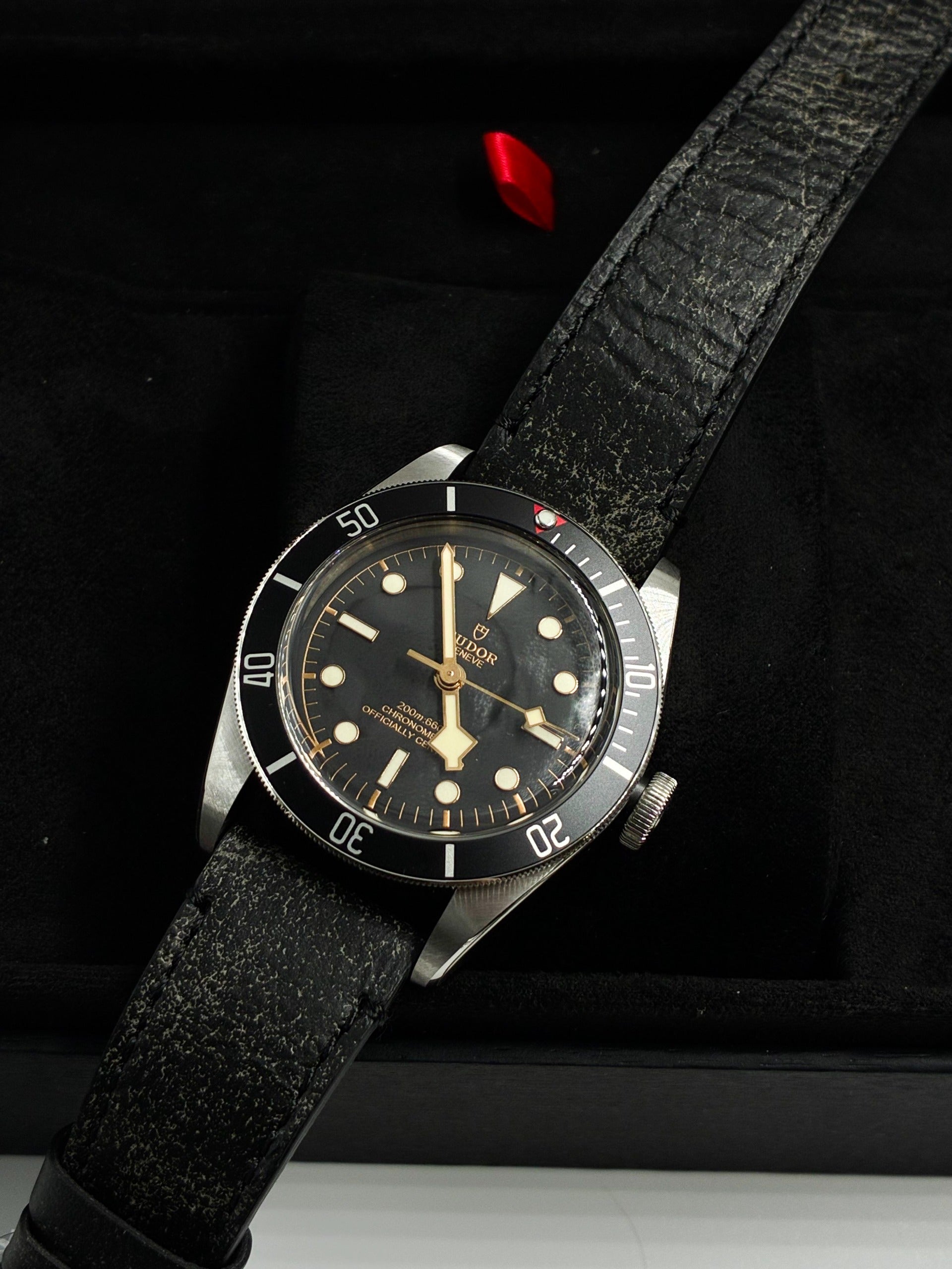 Tudor Black Bay 41mm 79230N-0008 Black Leather 2024
