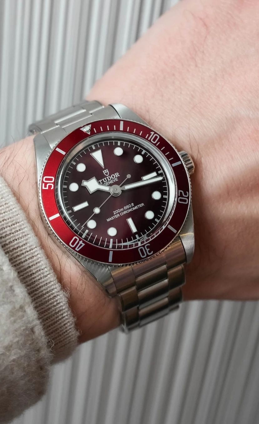 Tudor Black Bay M7939A1A0RU-0002 2026