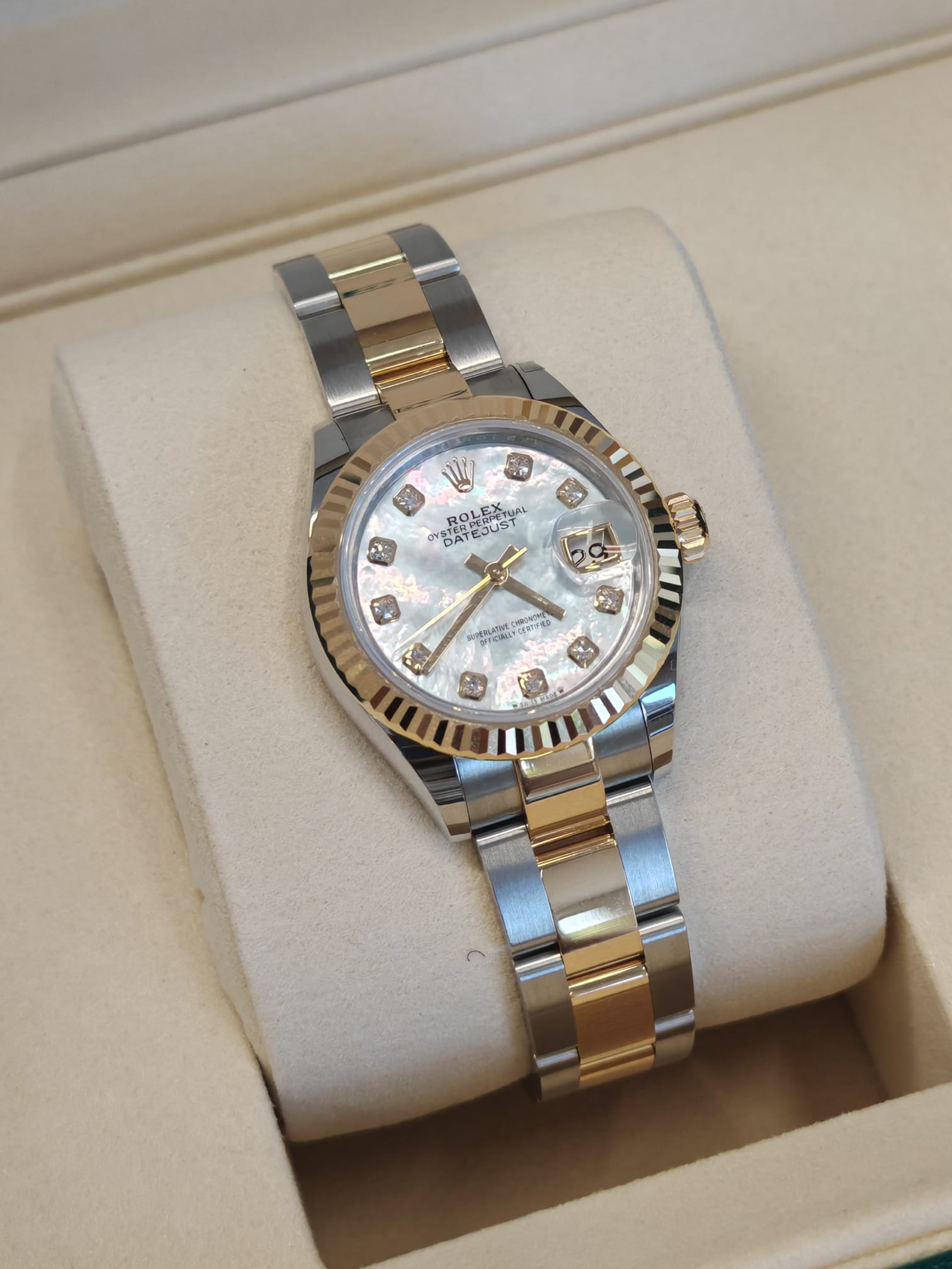 279173NG WHITE OYSTER