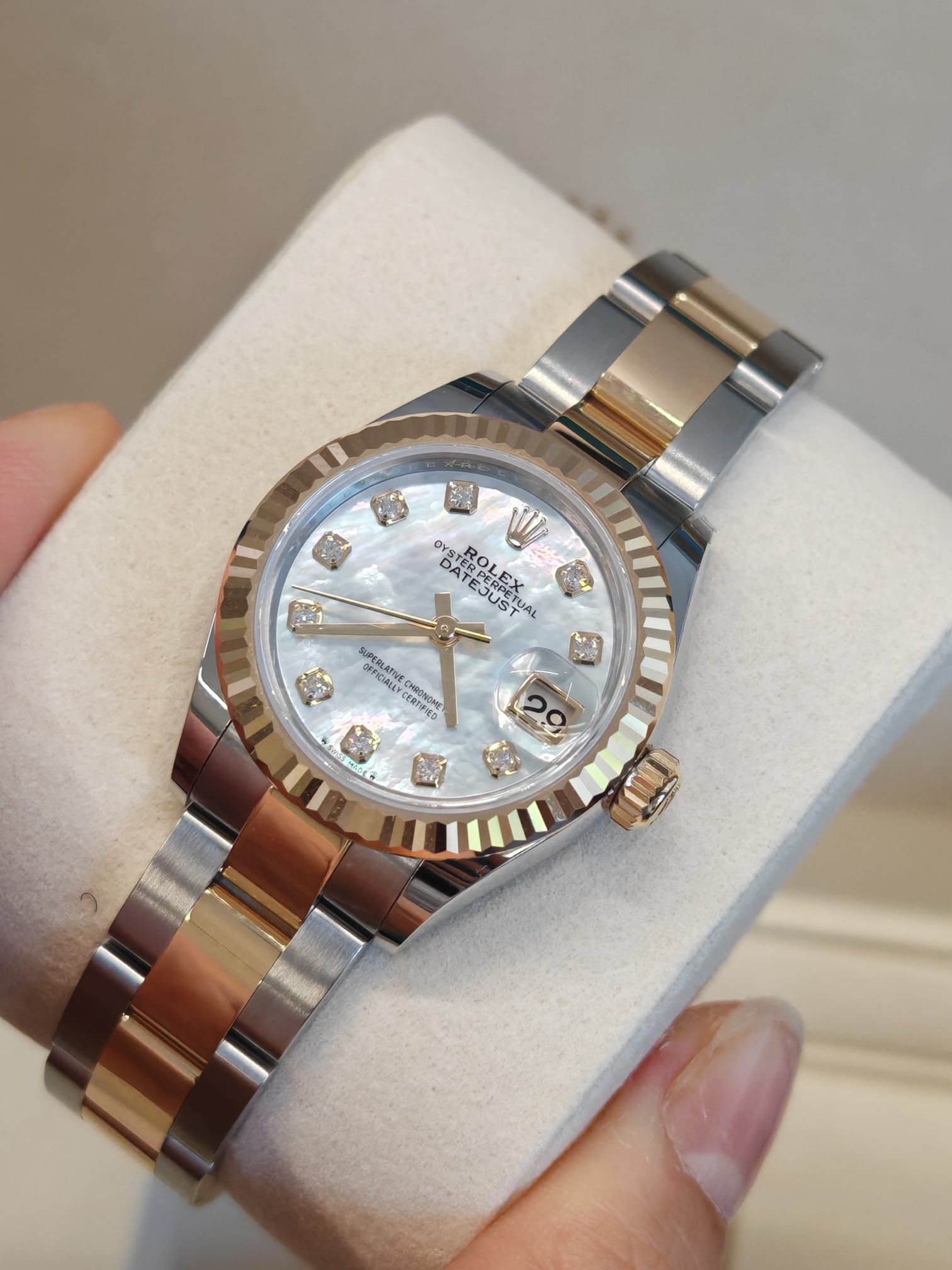 279173NG WHITE OYSTER