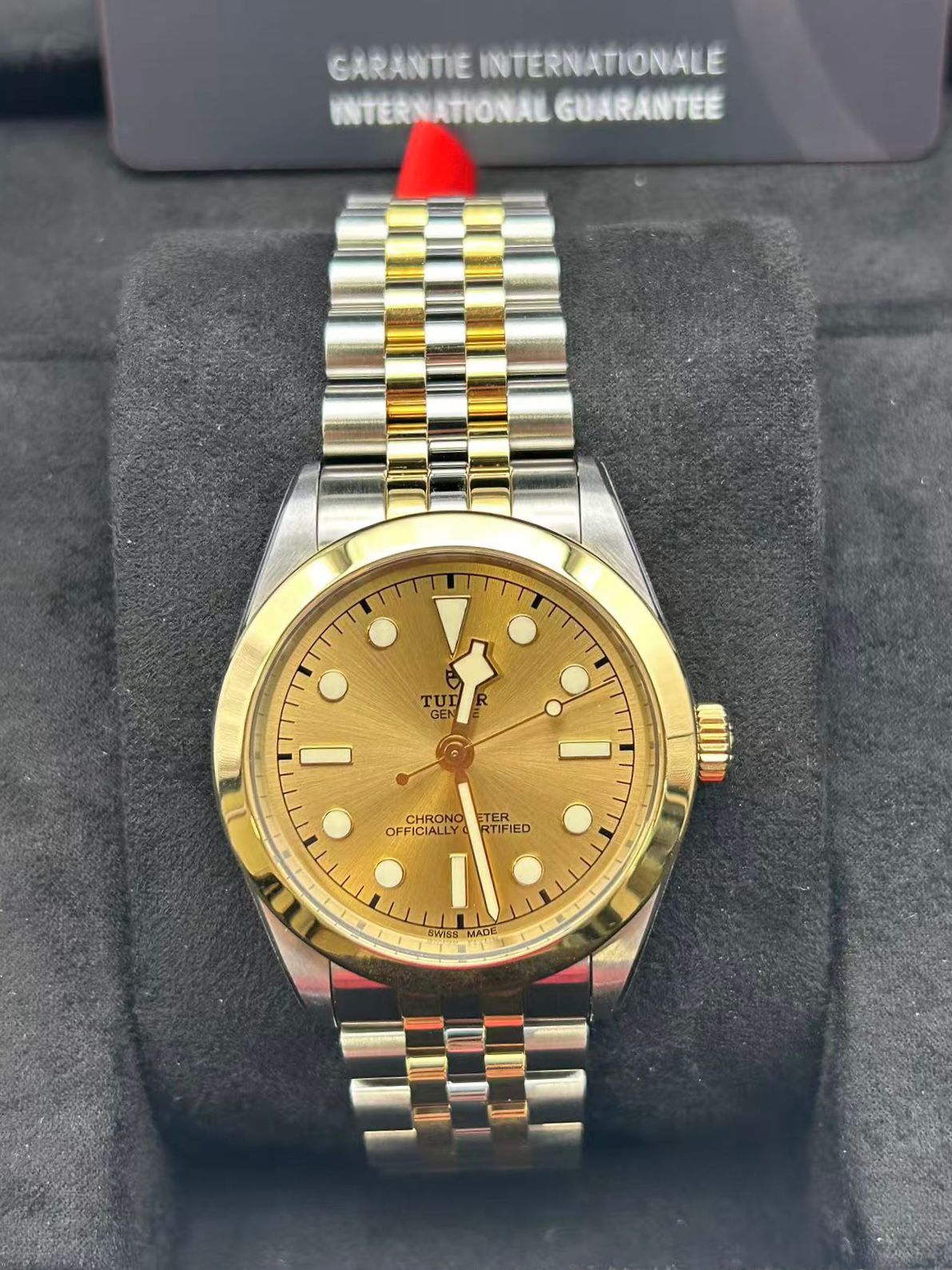 Tudor Black Bay 39 S&G M79663-0005