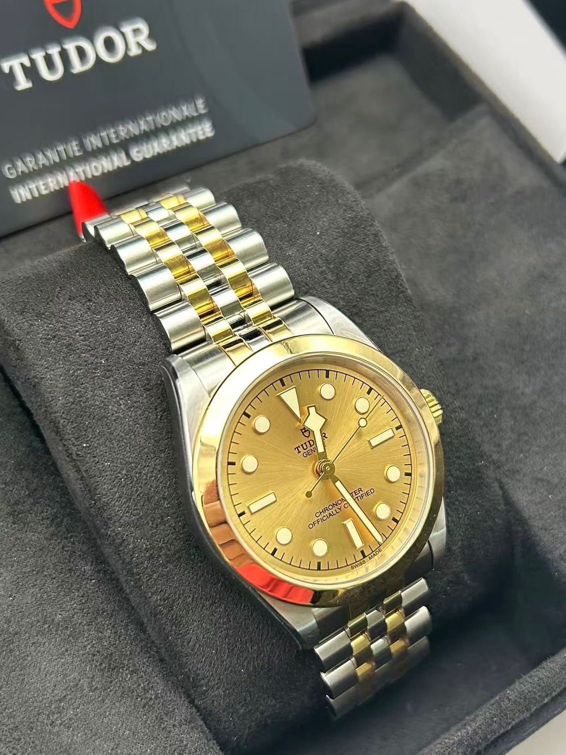 Tudor Black Bay 39 S&G 79663-0005