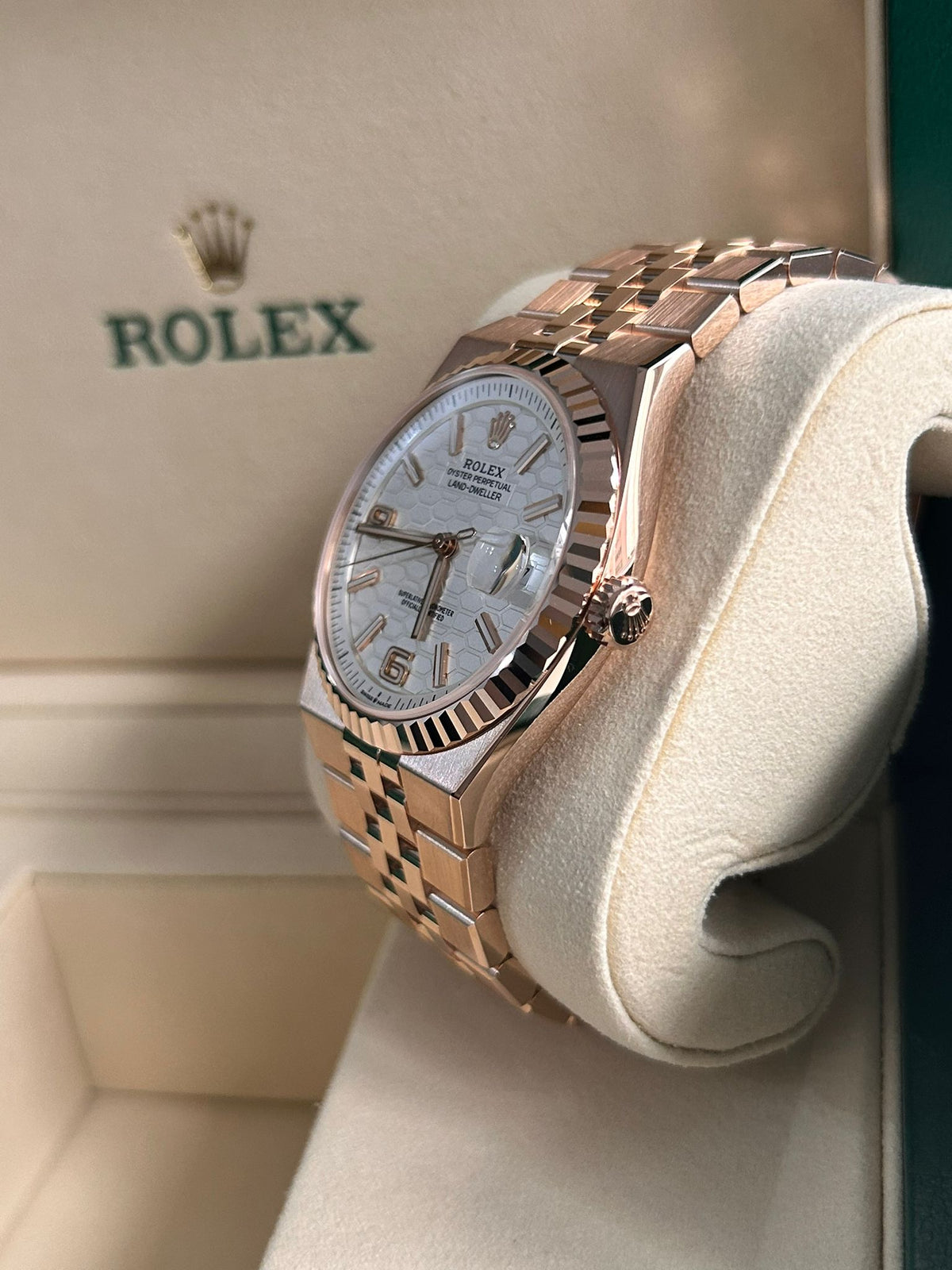 Rolex Land-Dweller 40 127335 White 2026