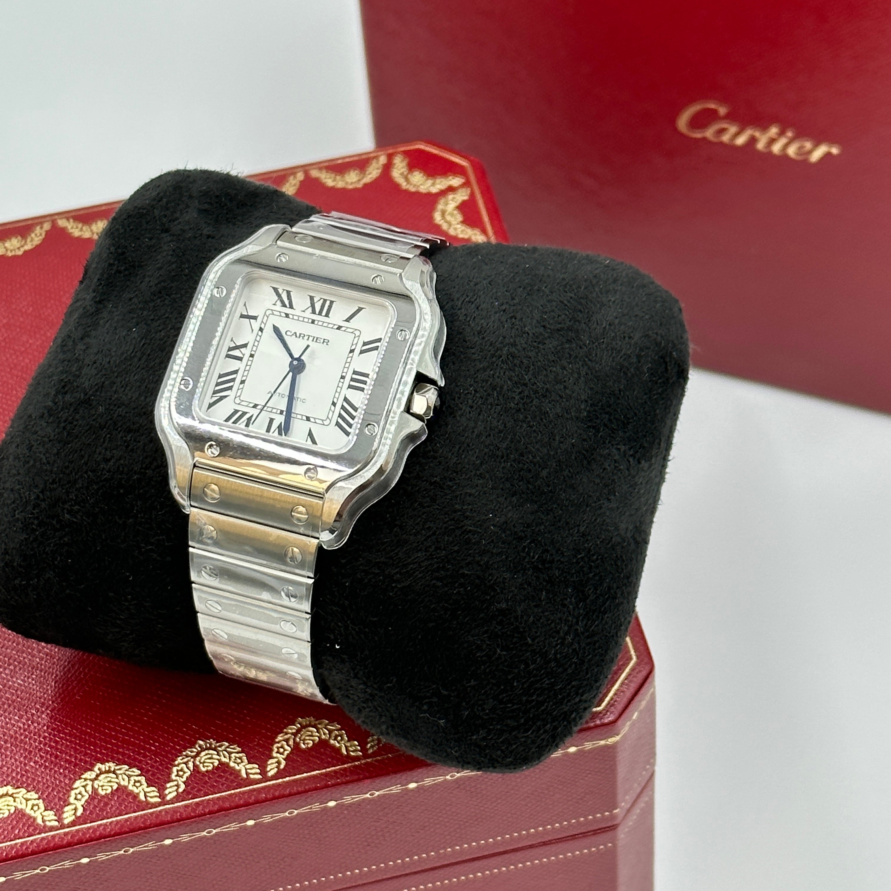 Cartier Santos WSSA0029 Silver