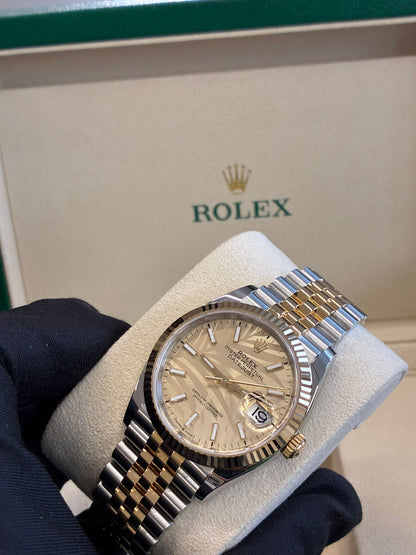 Rolex Datejust 36 126233 Champ Palm Jubilee 2024
