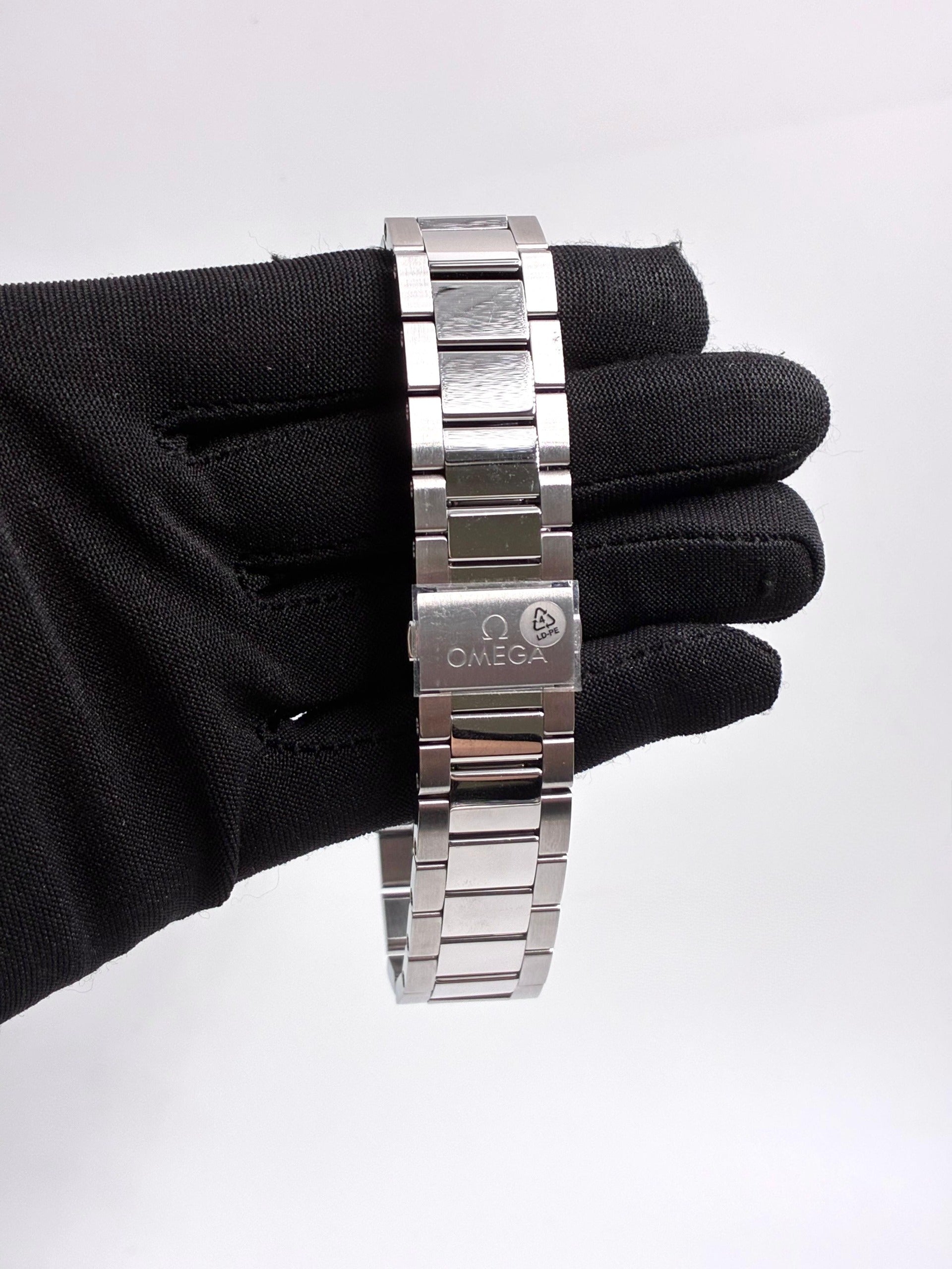 Omega Seamaster / Aqua Terra 150M 220.10.38.20.03.001