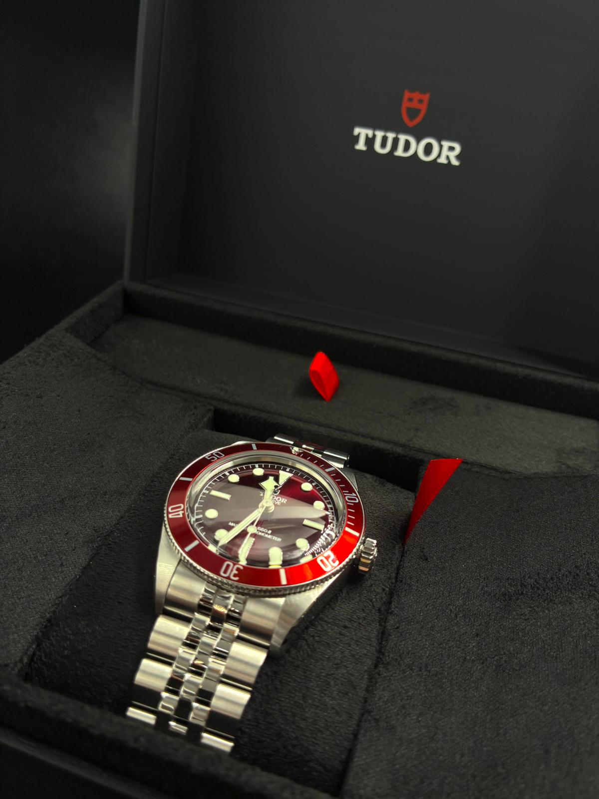 Tudor Black Bay M7939A1A0RU-0001