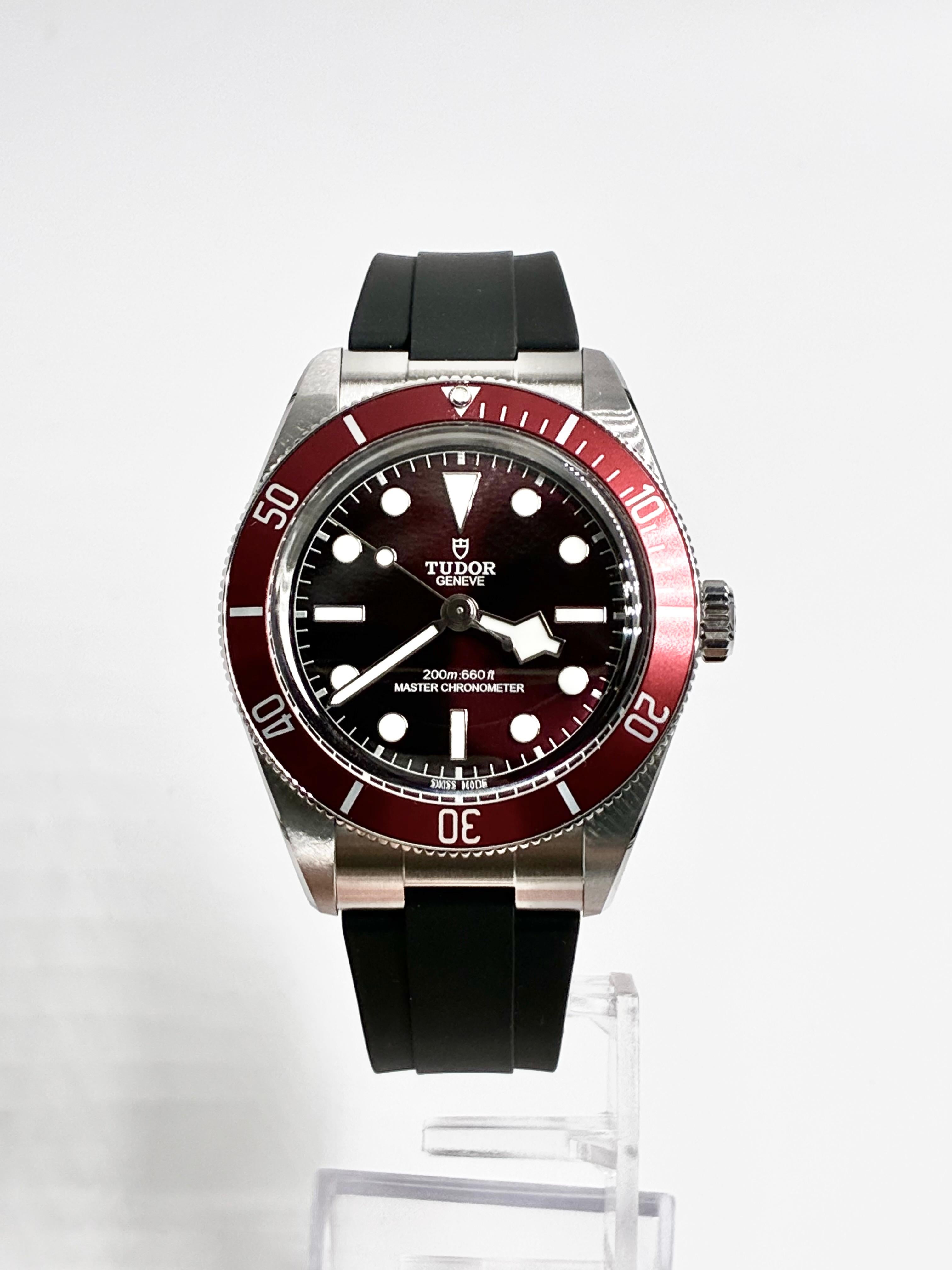 Tudor Black Bay M7939A1A0RU-0003 2026