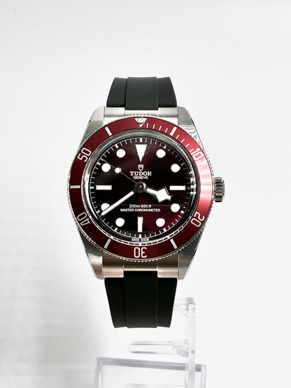 Tudor Black Bay M7939A1A0RU-0003 2026