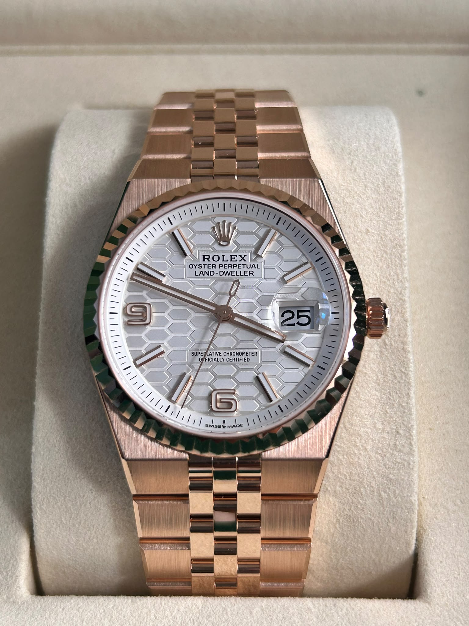 Rolex Land-Dweller 36 127235 White 2025