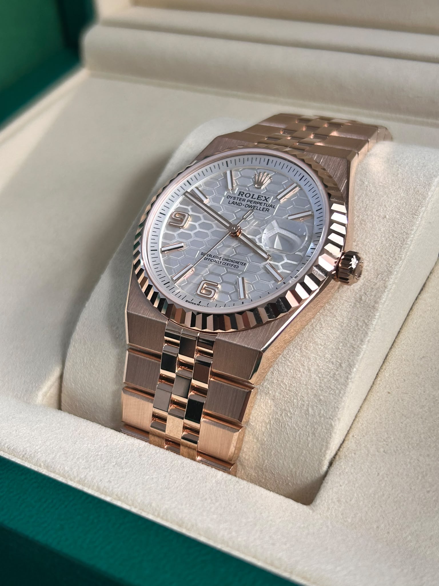 Rolex Land-Dweller 36 127235 White 2025