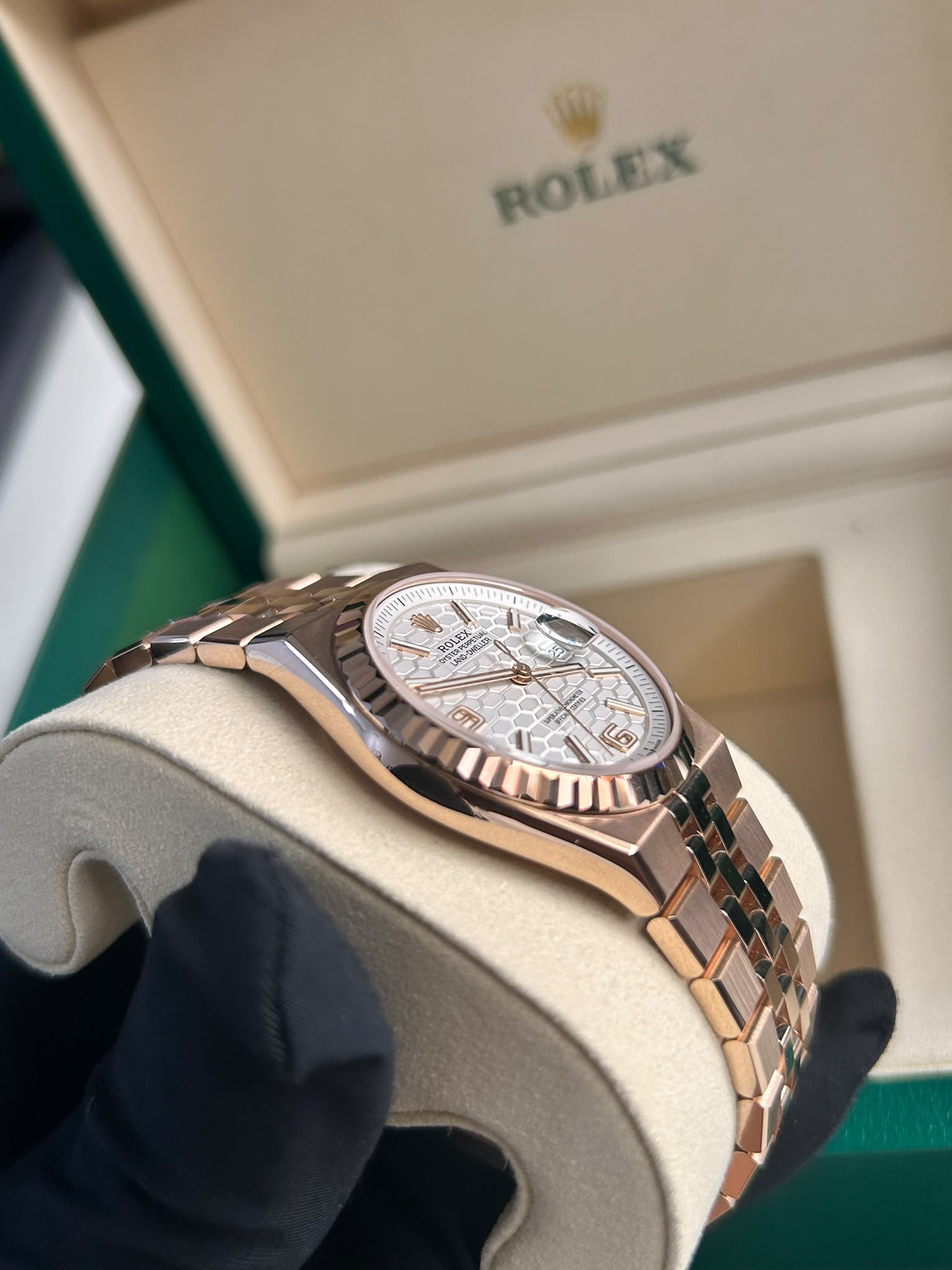 Rolex Land-Dweller 36 127235 White 2025