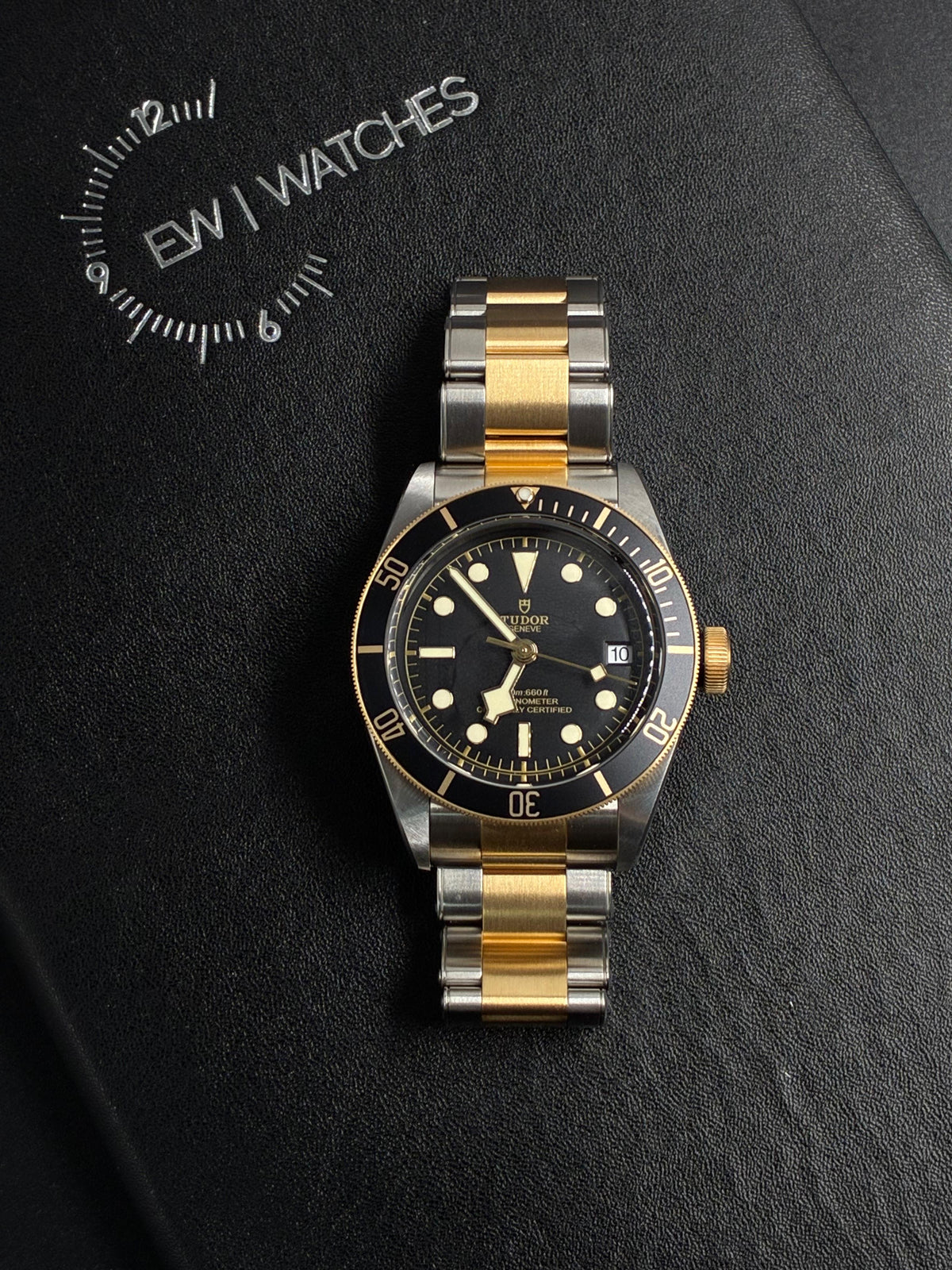 Tudor Black Bay S&g M79733N-0008 2026