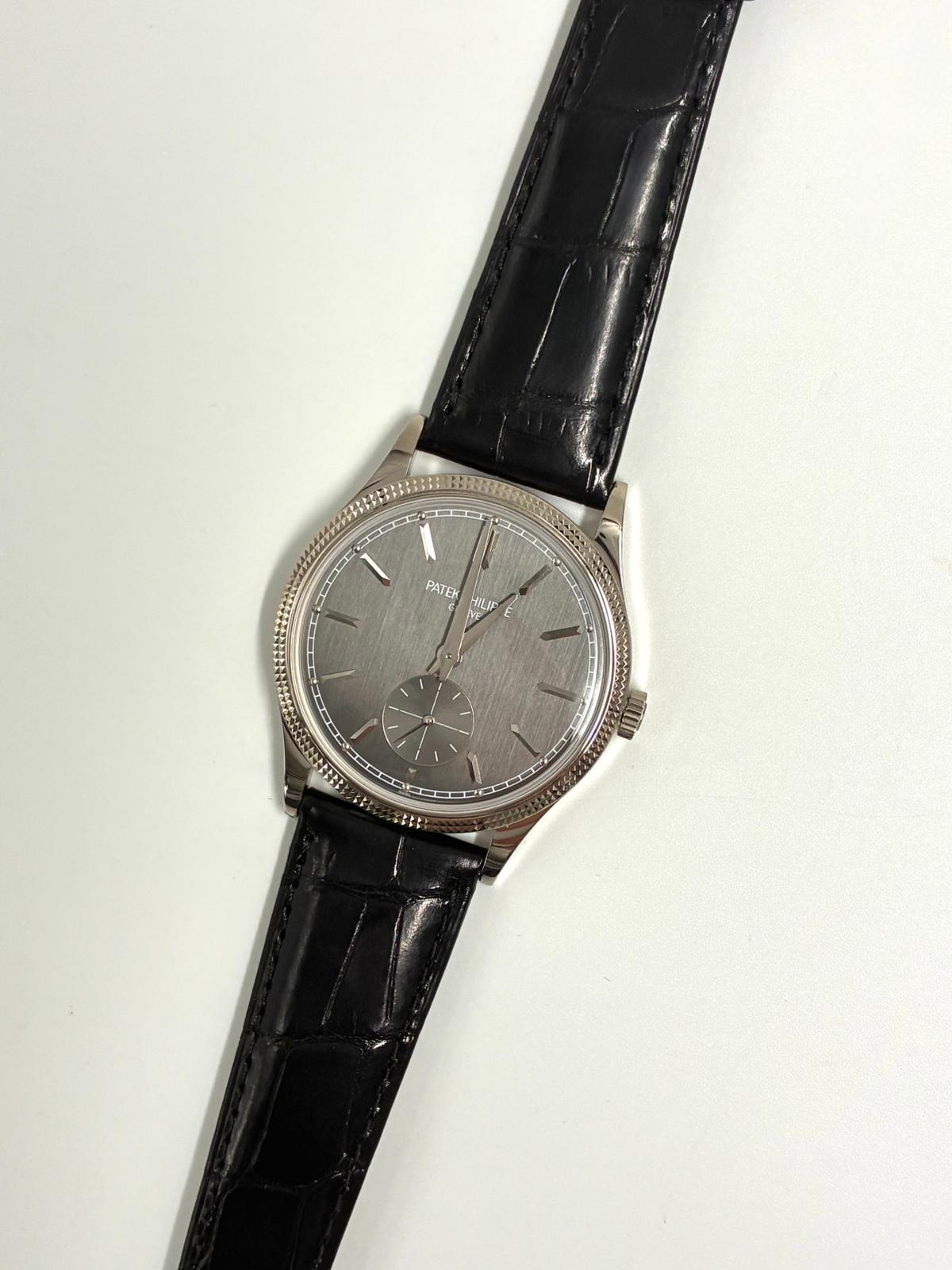 Patek Philippe Calatrava 6119G-001 Gray 2026