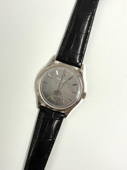 Patek Philippe Calatrava 6119G-001 Gray 2026
