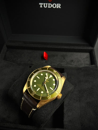 Tudor Black Bay 79018V-0001 Green 2025