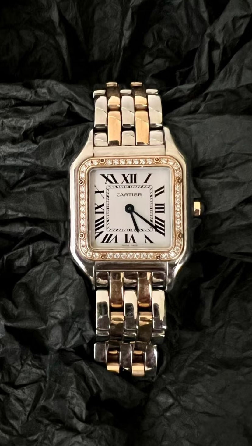 Cartier  Panthère  W3pn0015  2026