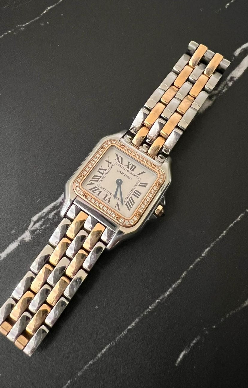 Cartier  Panthère  W3pn0015  2026