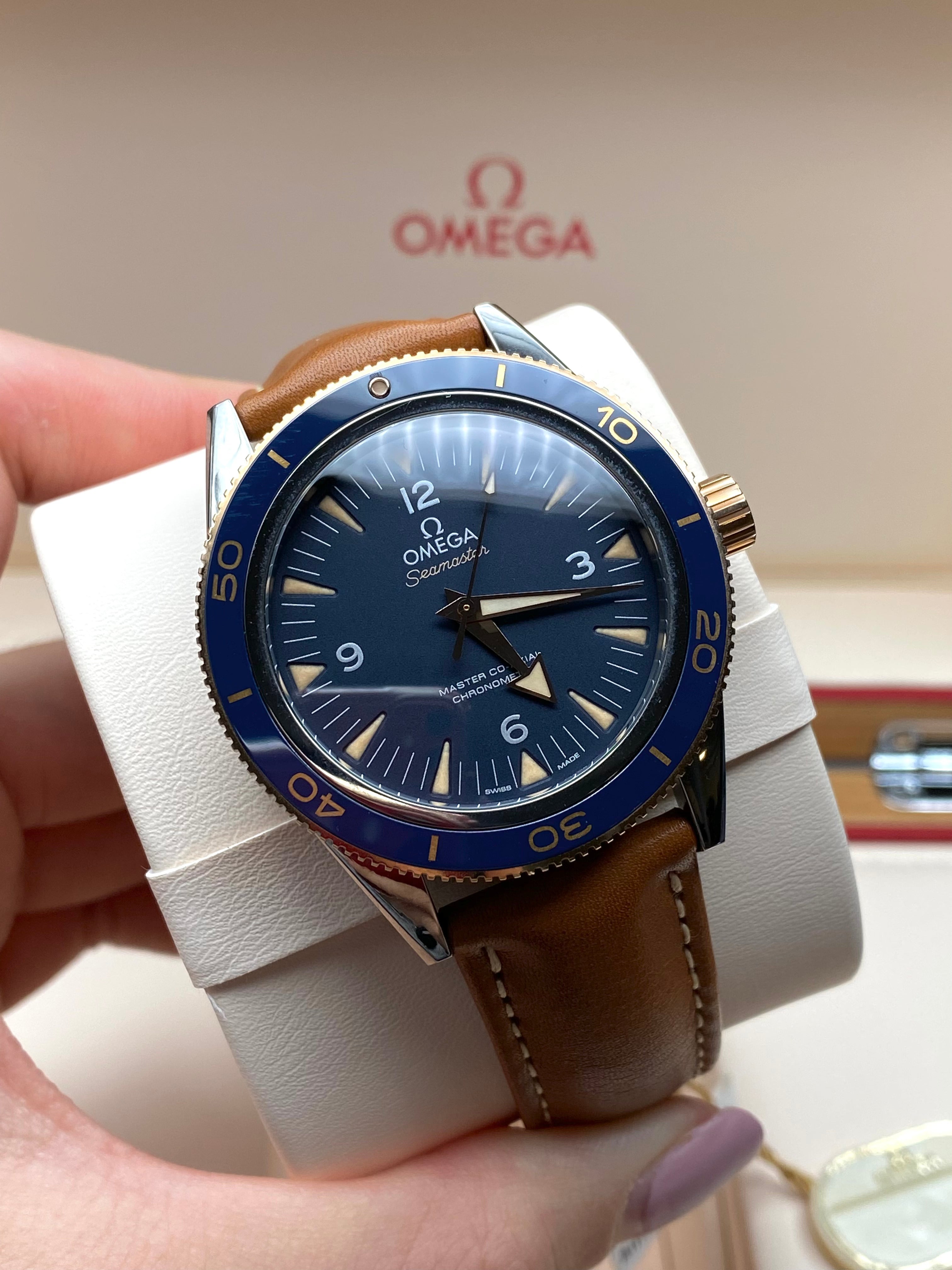 Omega Seamaster 300 Master Chronometer 41 mm 233.62.41.21.03.001 2025