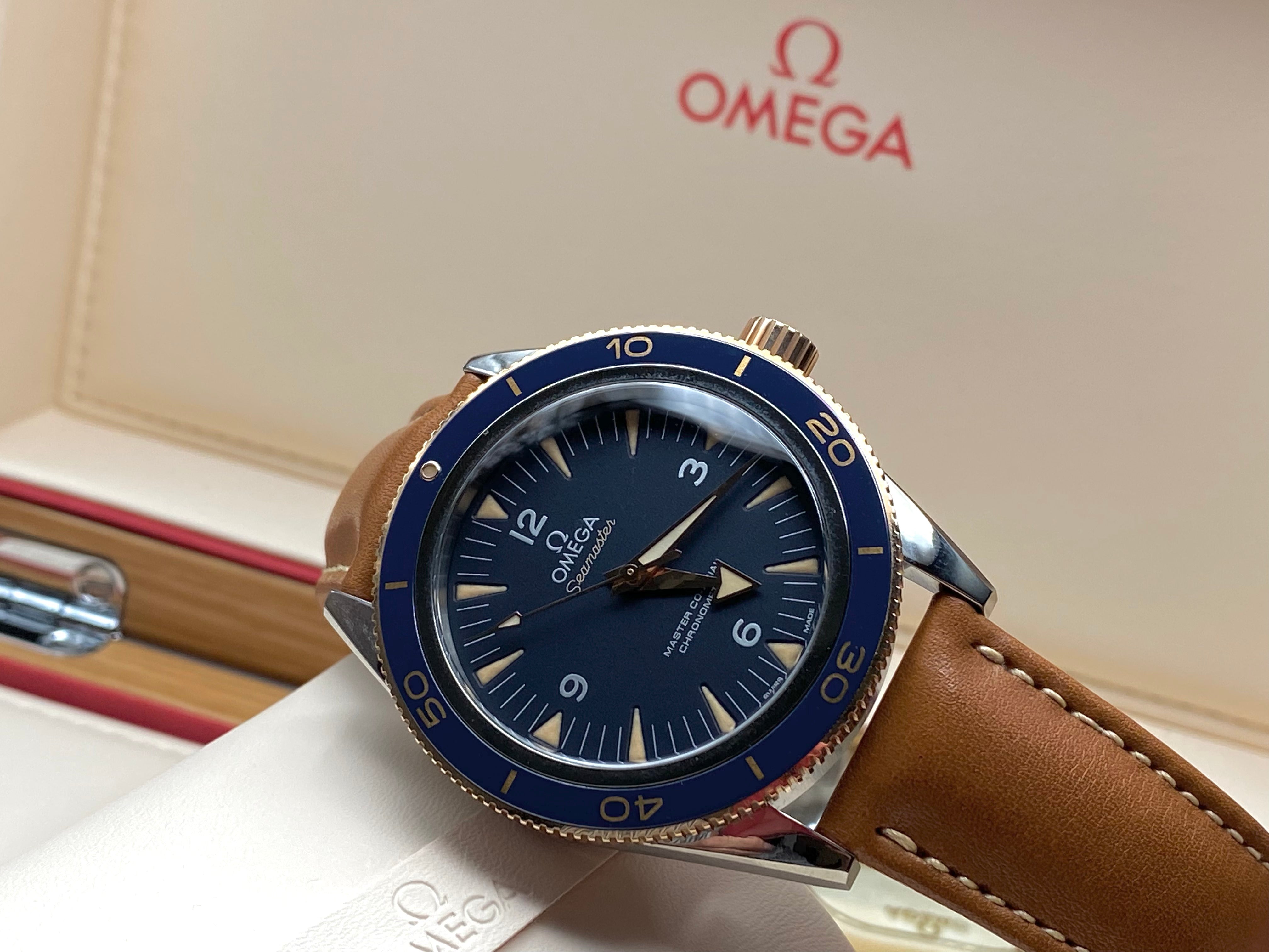 Omega Seamaster 300 Master Chronometer 41 mm 233.62.41.21.03.001 2025