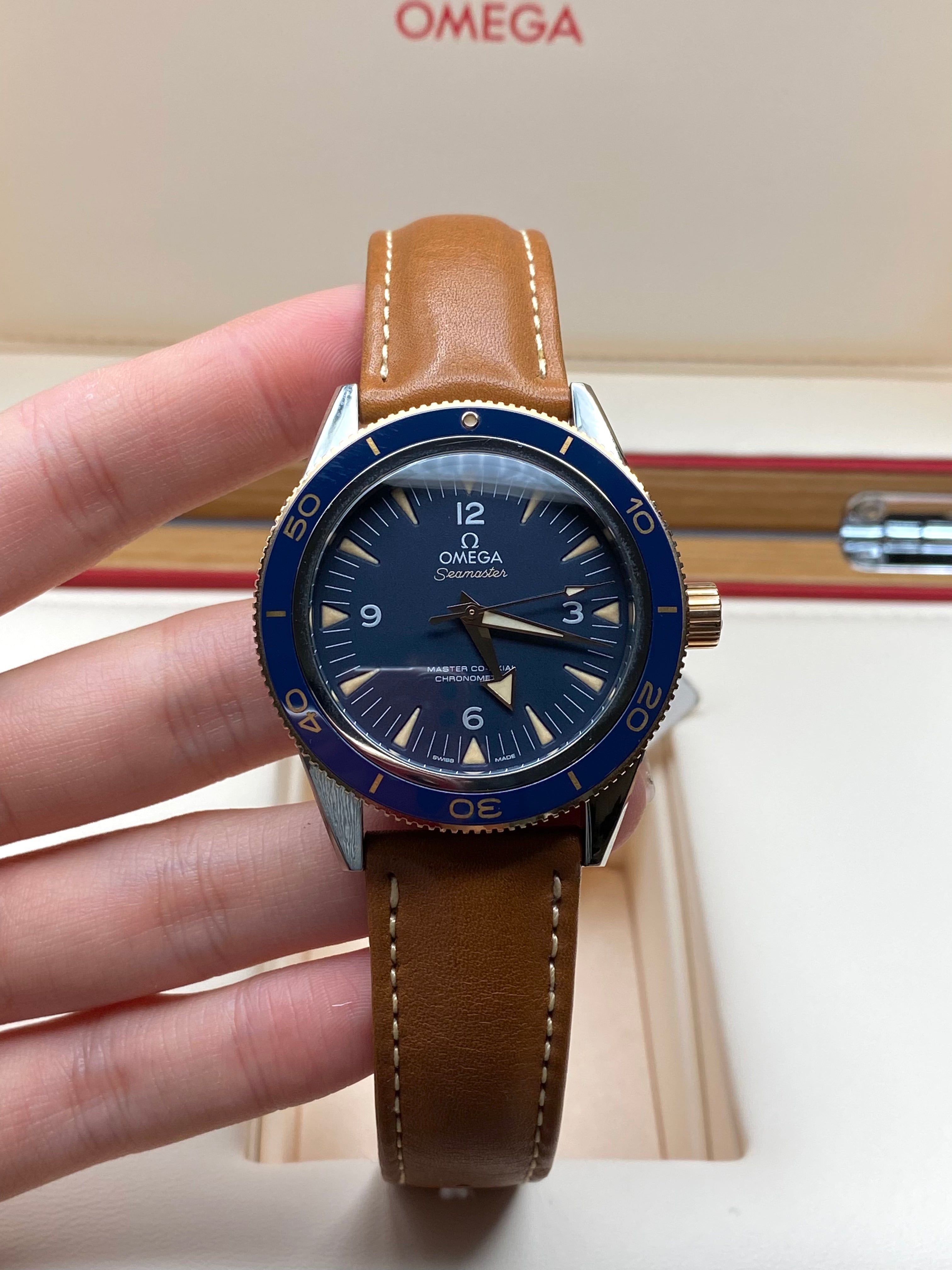 Omega Seamaster 300 Master Chronometer 41 mm 233.62.41.21.03.001 2025