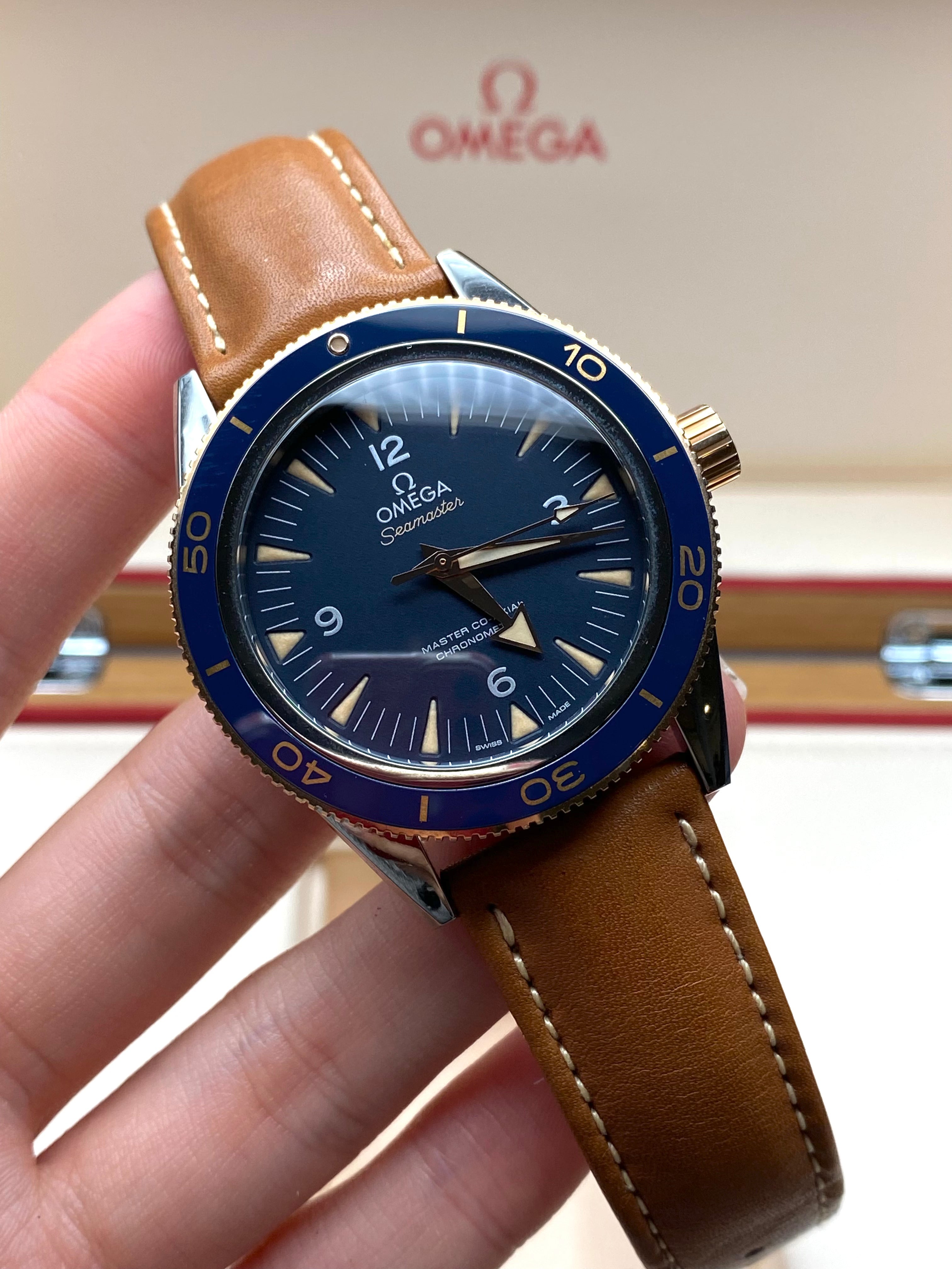 Omega Seamaster 300 Master Chronometer 41 mm 233.62.41.21.03.001 2025