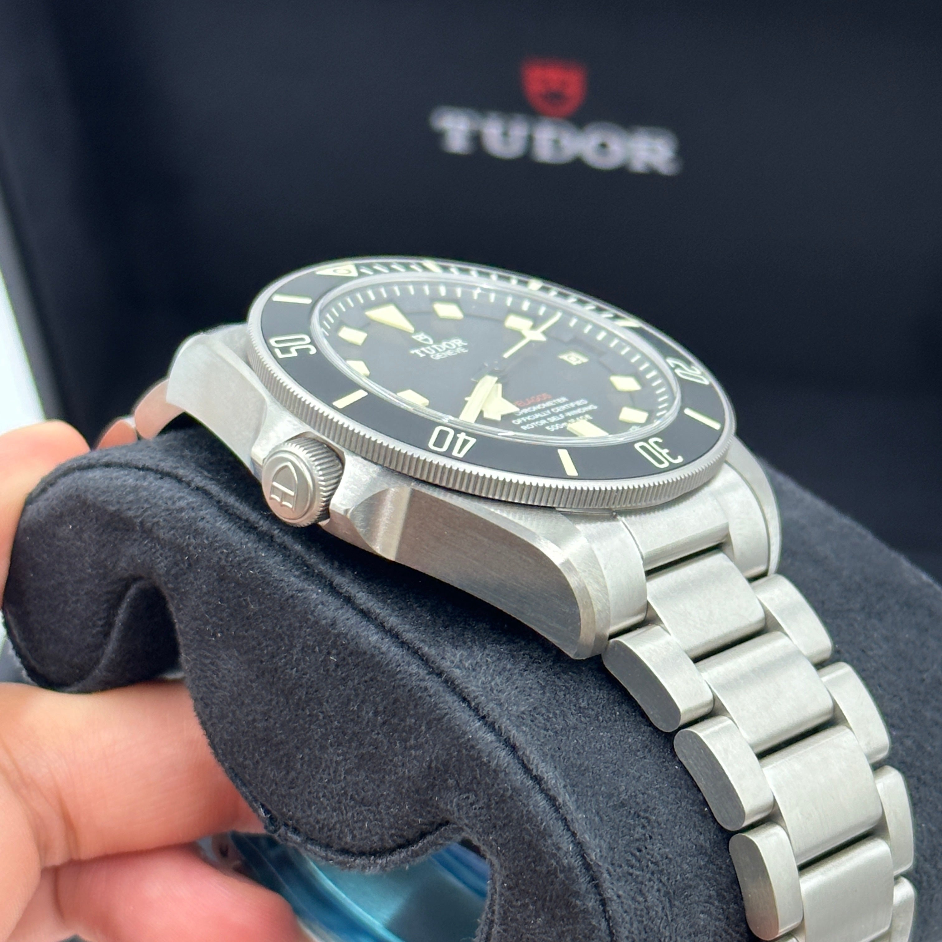 Tudor Pelagos 42mm 25610Tnl-0001 2025
