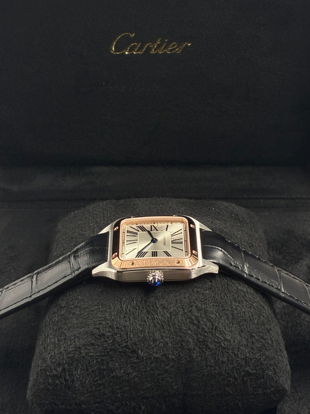 Cartier  Santos W2SA0038