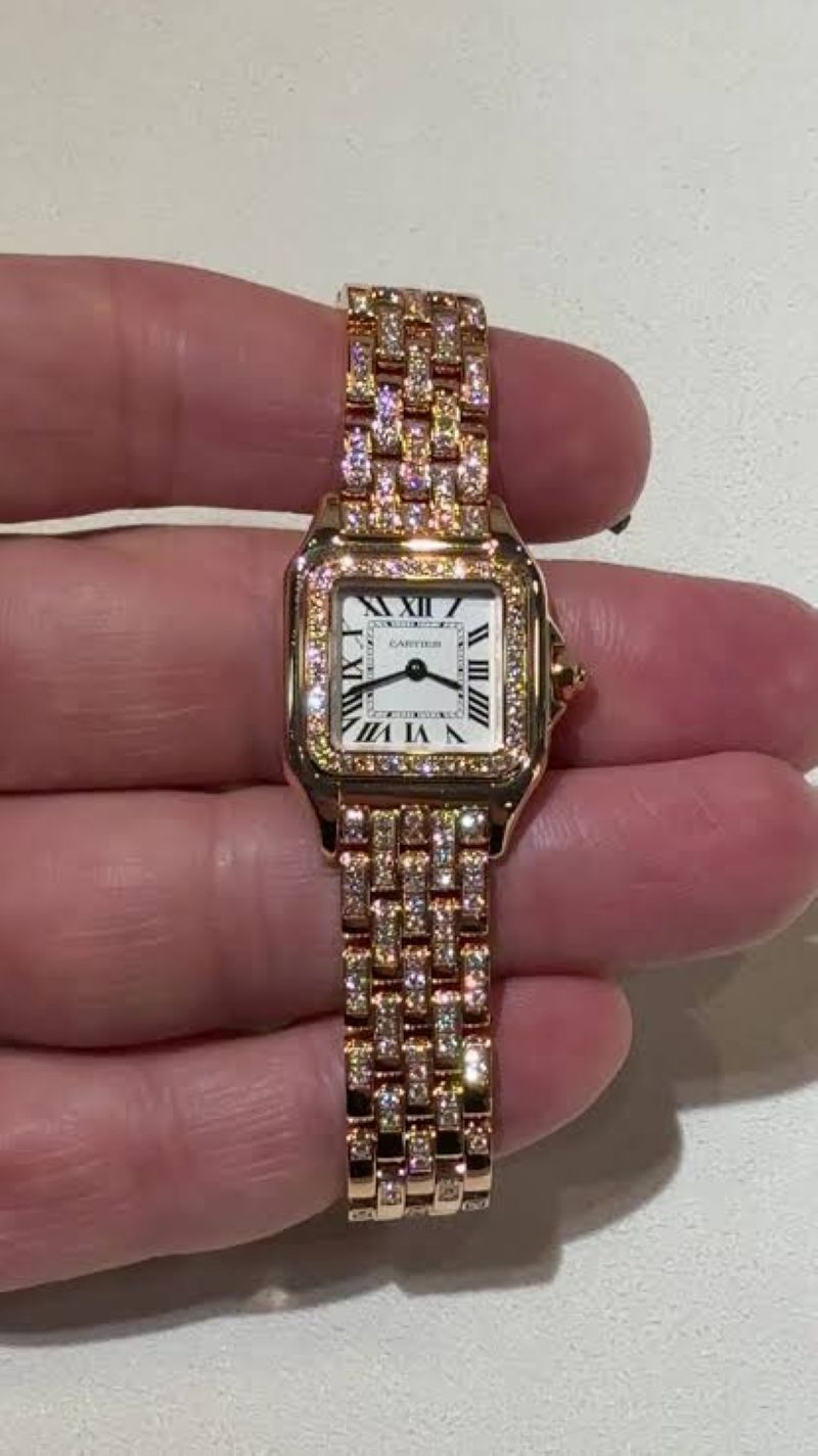 Cartier Panthère Wjpn0061 2026