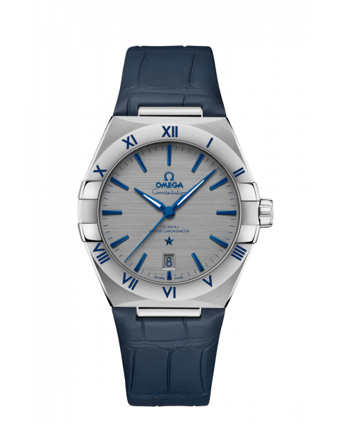 Omega Co-Axial Master Chronometer 39 mm 131.13.39.20.06.002