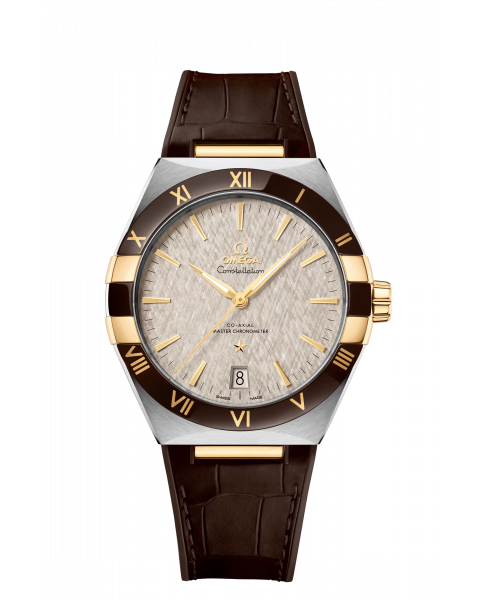 Omega Co-Axial Master Chronometer 41 mm 131.23.41.21.06.002