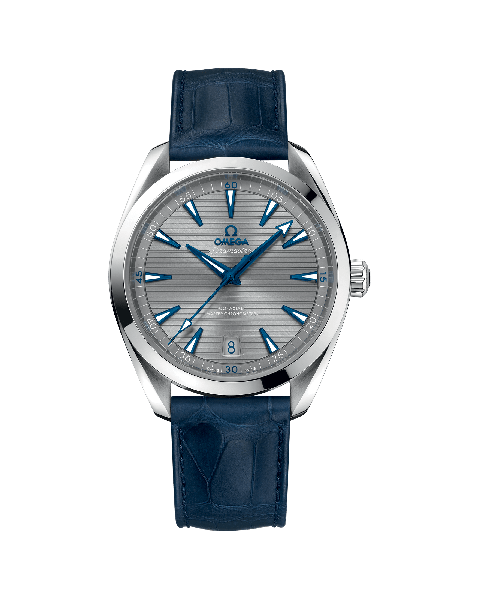 Omega Co-Axial Master Chronometer 41 mm 220.13.41.21.06.001