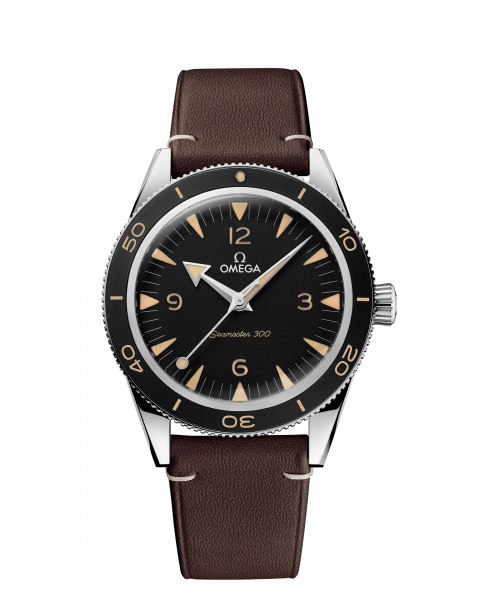 Omega Co-Axial Master Chronometer 41 mm 234.32.41.21.01.001