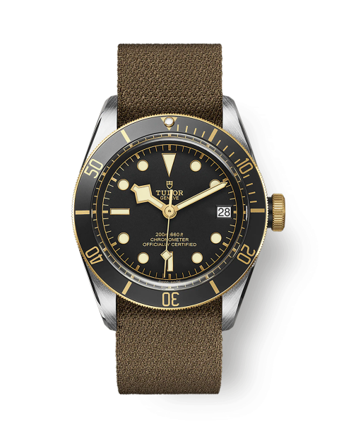 Tudor Black Bay S&G M79733N-0005