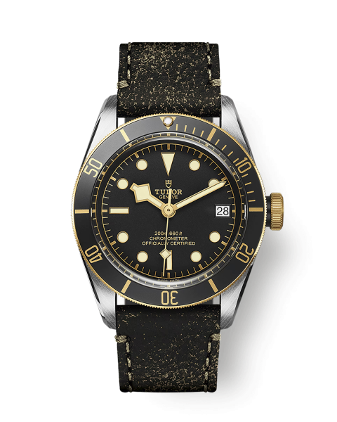 Tudor Black Bay S&G M79733N-0007
