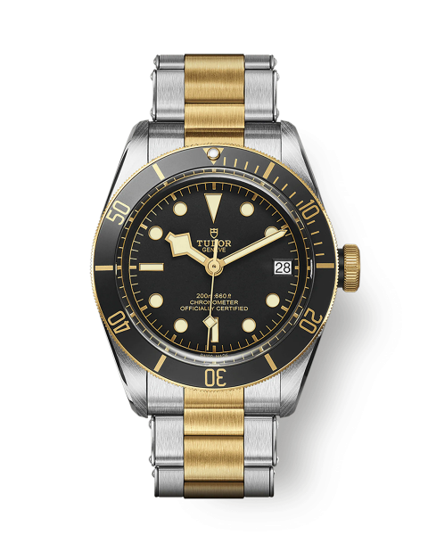 Tudor Black Bay S&G M79733N-0008