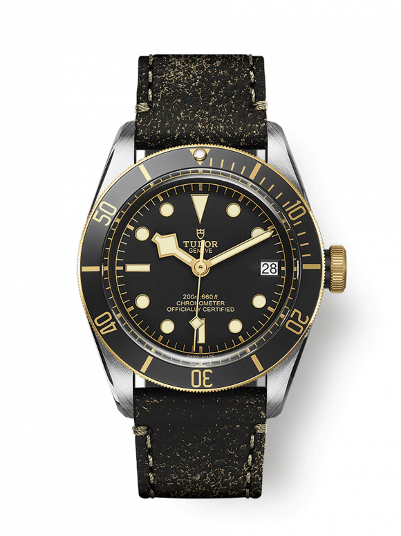 Tudor Black Bay S&G M79733N-0007